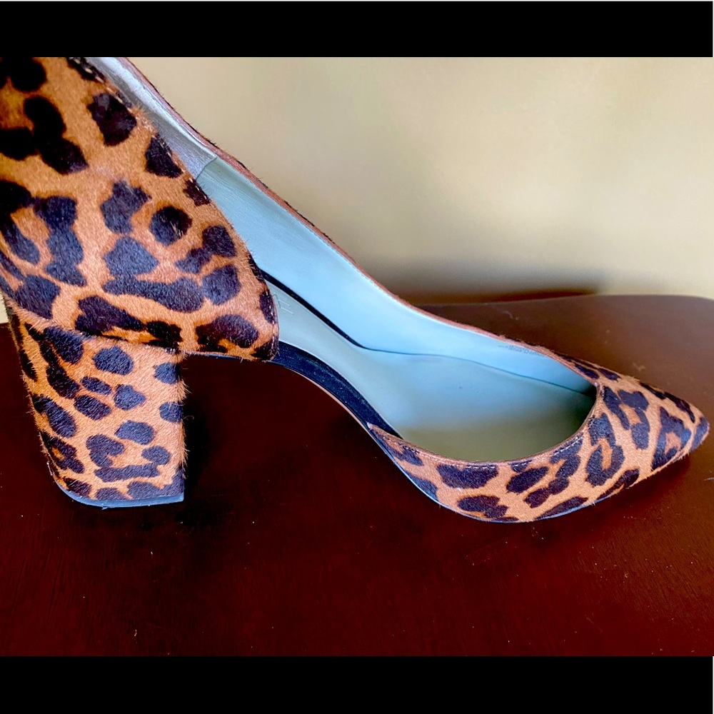 Cheetah Print Shoes